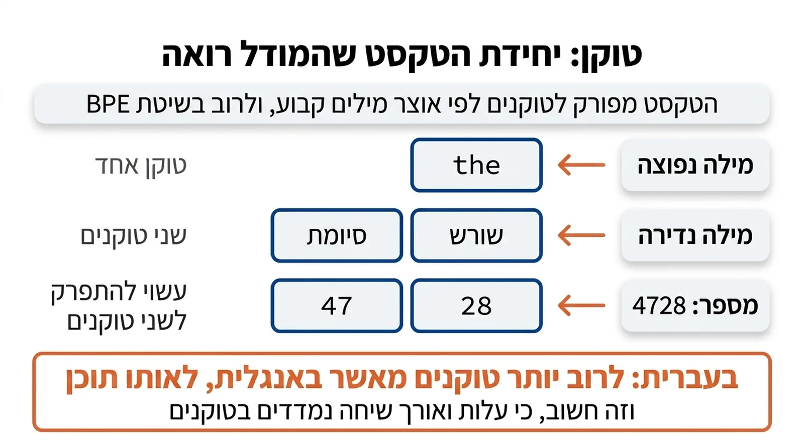 כותרת משנה: הטקסט מפורק לטוקנים לפי אוצר מילים קבוע, ולרוב בשיטת BPE. שלוש דוגמאות: מילה נפוצה, the, היא טוקן אחד; מילה נדירה מתפרקת לשני טוקנים, שורש וסיומת; המספר 4728 עשוי להתפרק לשני טוקנים, 47 ו-28. בתחתית: בעברית לרוב יש יותר טוקנים מאשר באנגלית לאותו תוכן, וזה חשוב כי עלות ואורך שיחה נמדדים בטוקנים.