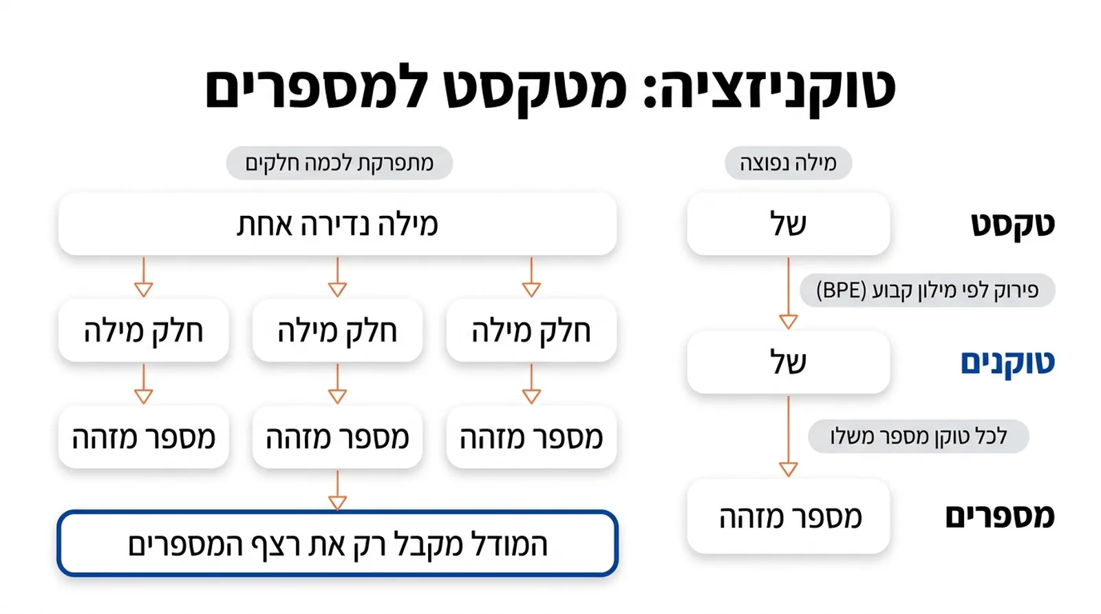 תרשים מלמעלה למטה בשלוש שורות: טקסט, טוקנים ומספרים. המילה הנפוצה 'של' נשארת טוקן אחד, ומילה נדירה אחת מתפרקת לשלושה חלקי מילה. הפירוק נעשה לפי מילון קבוע (BPE), לכל טוקן יש מספר מזהה משלו, ובסוף: המודל מקבל רק את רצף המספרים.